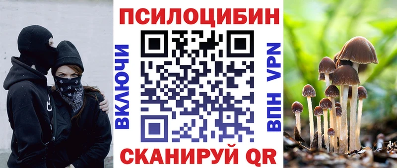 Псилоцибиновые грибы Psilocybe  Кола 